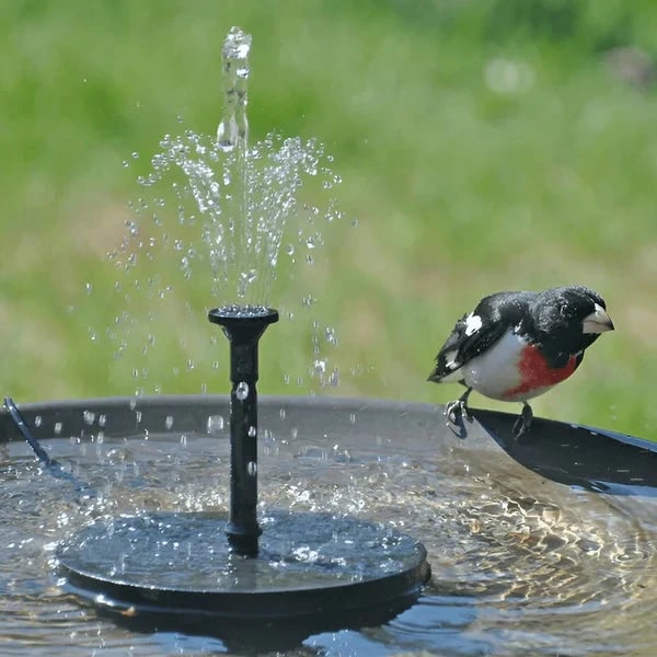 🔥Hot Sale🔥⛲ Solar Fountain, Solar Powered Bird Bath Fountain Pump